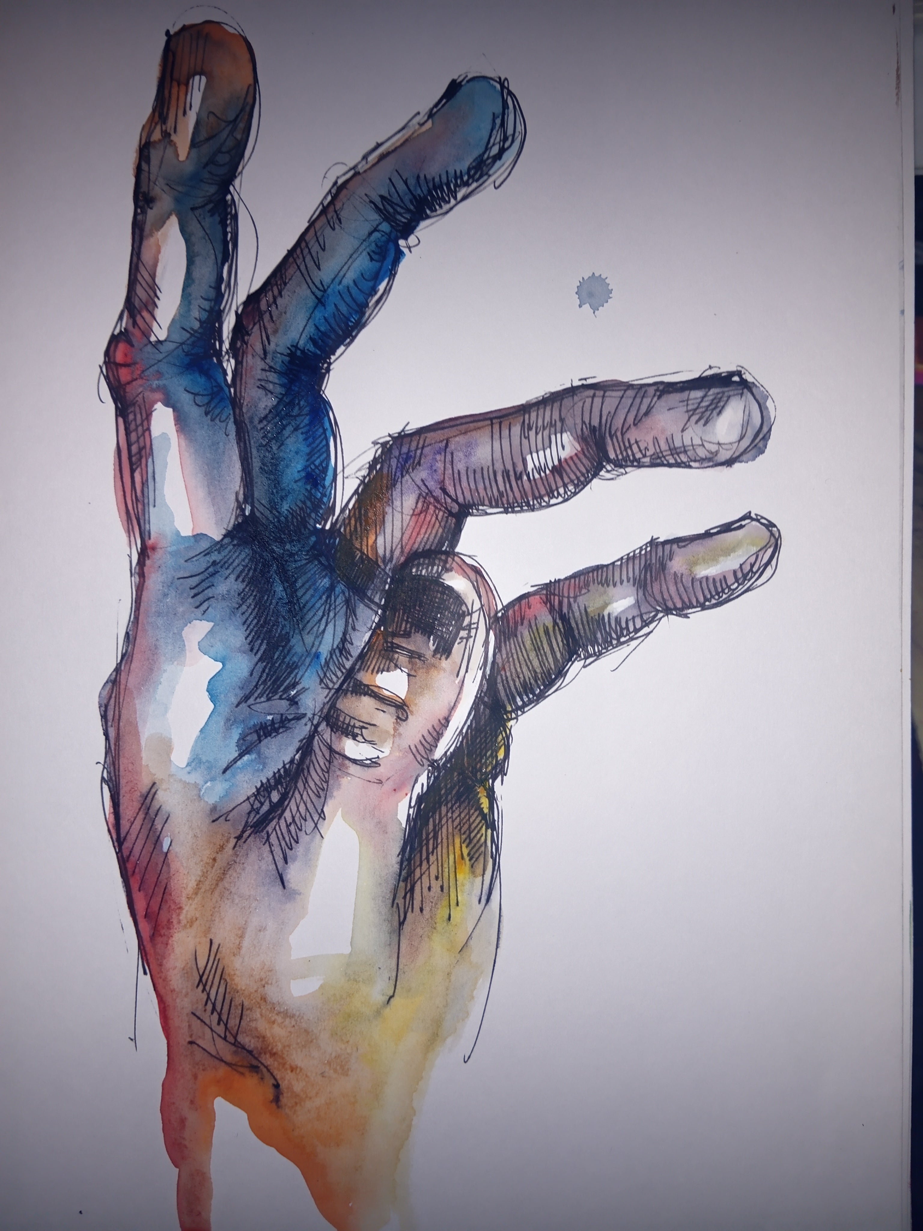 Hand-Drawn Illustrations & Sketches